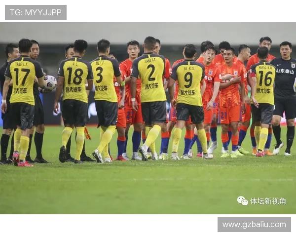 南京羽毛球队与杭州羽毛球队实力对比赛后分析与总结