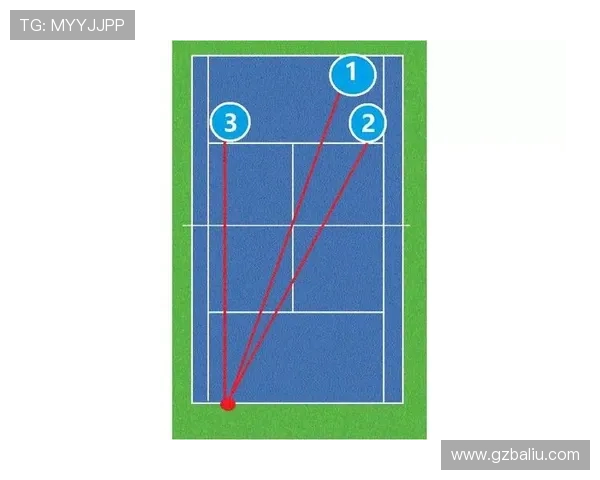 杭州网球队在奥运会上的战术表现分析与点评探讨